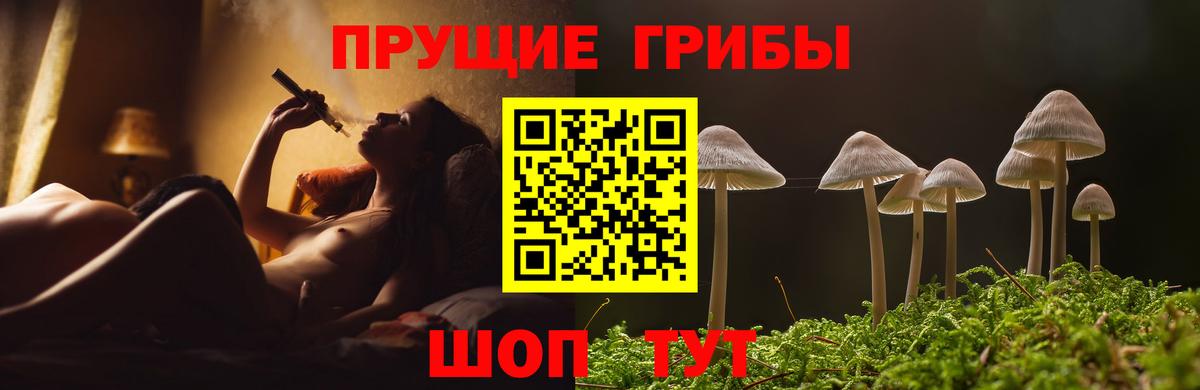 сколько стоит  Псилоцибиновые грибы мицелий  Вход с VPN  Реутов 